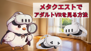メタクエストでアダルトVRを見る方法とコツ