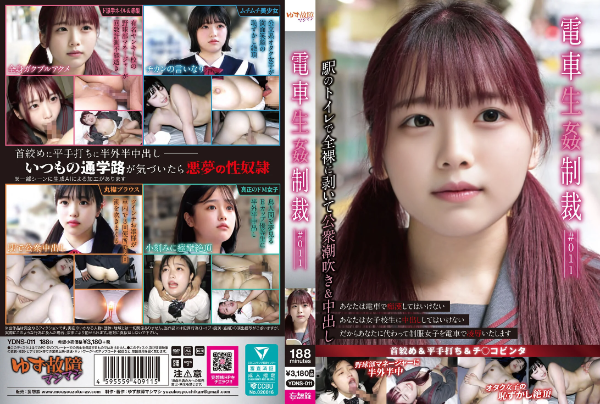 電車生姦制裁 #011
